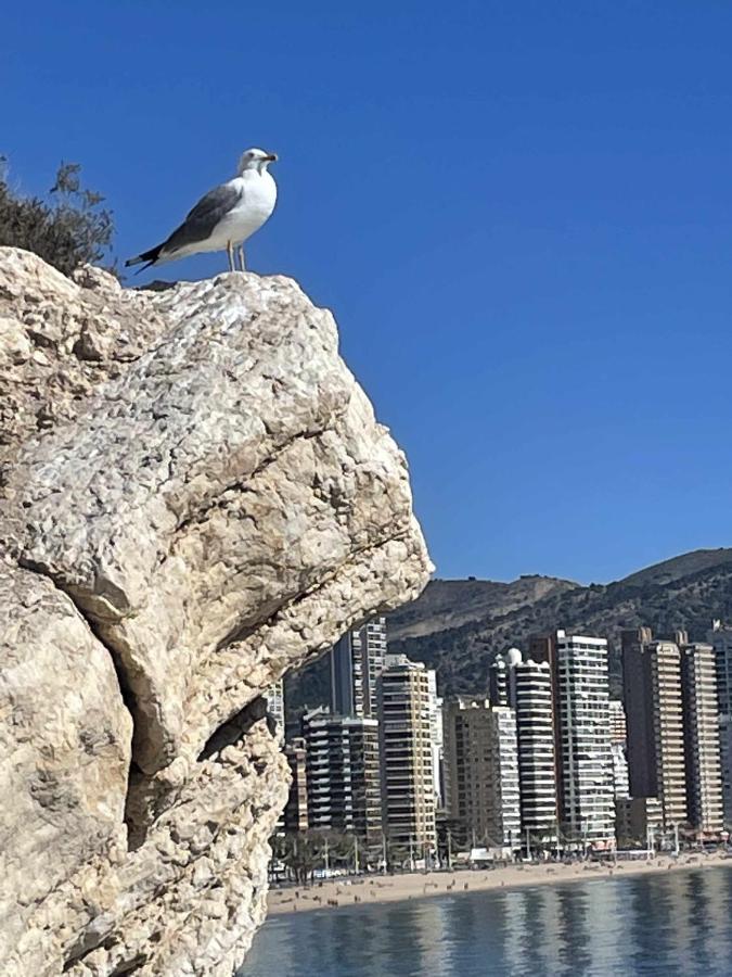 Sonrisa Soleada Apartman Santa Pola Kültér fotó
